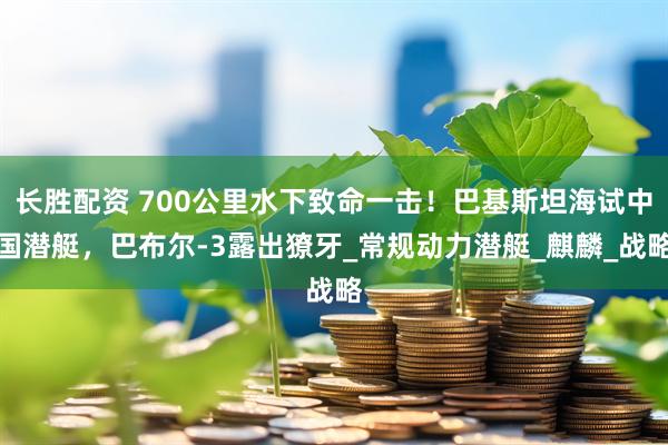 长胜配资 700公里水下致命一击！巴基斯坦海试中国潜艇，巴布尔-3露出獠牙_常规动力潜艇_麒麟_战略