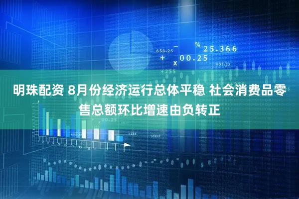 明珠配资 8月份经济运行总体平稳 社会消费品零售总额环比增速由负转正